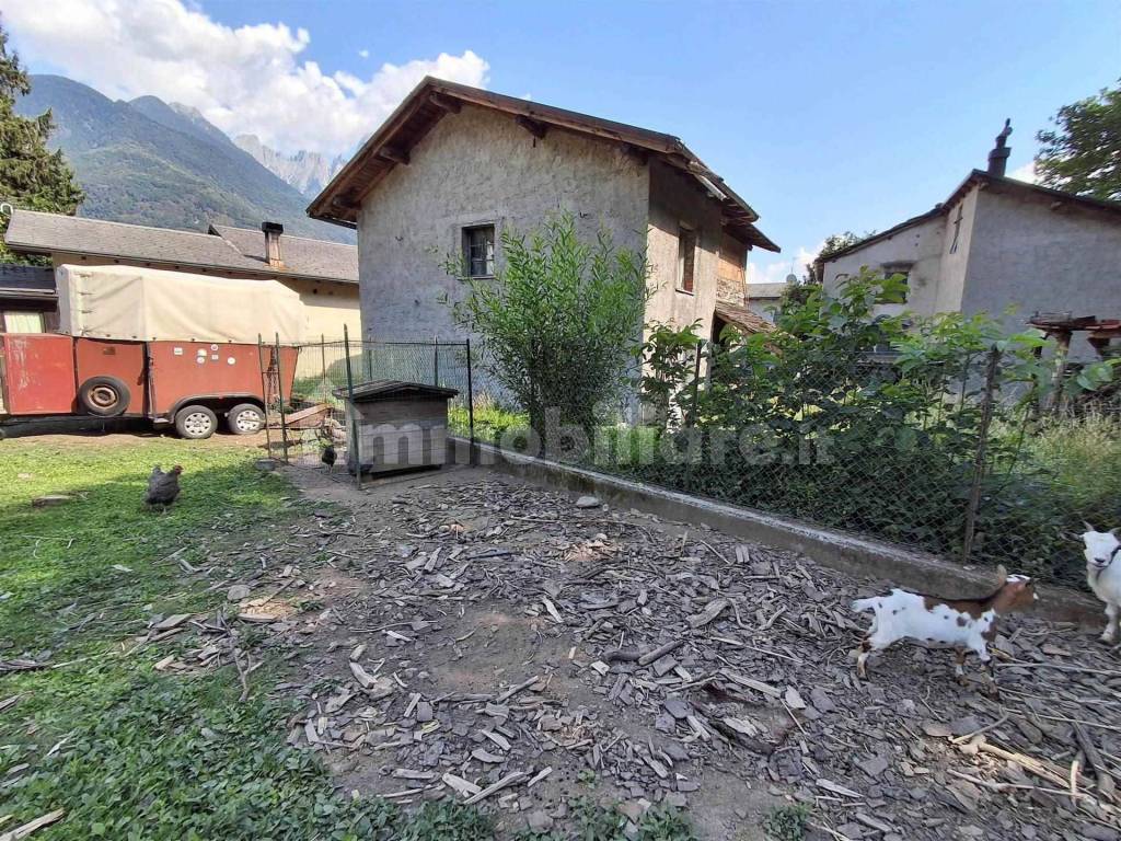 Giardino