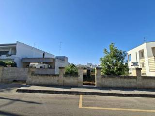 Zona
