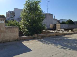 Zona