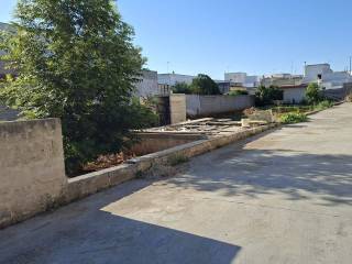 Zona