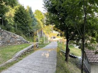 Zona