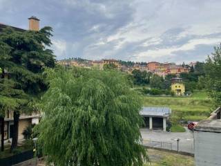 Vista