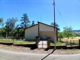 Zona