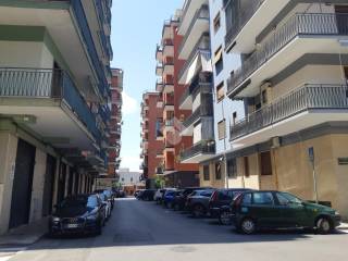 Zona