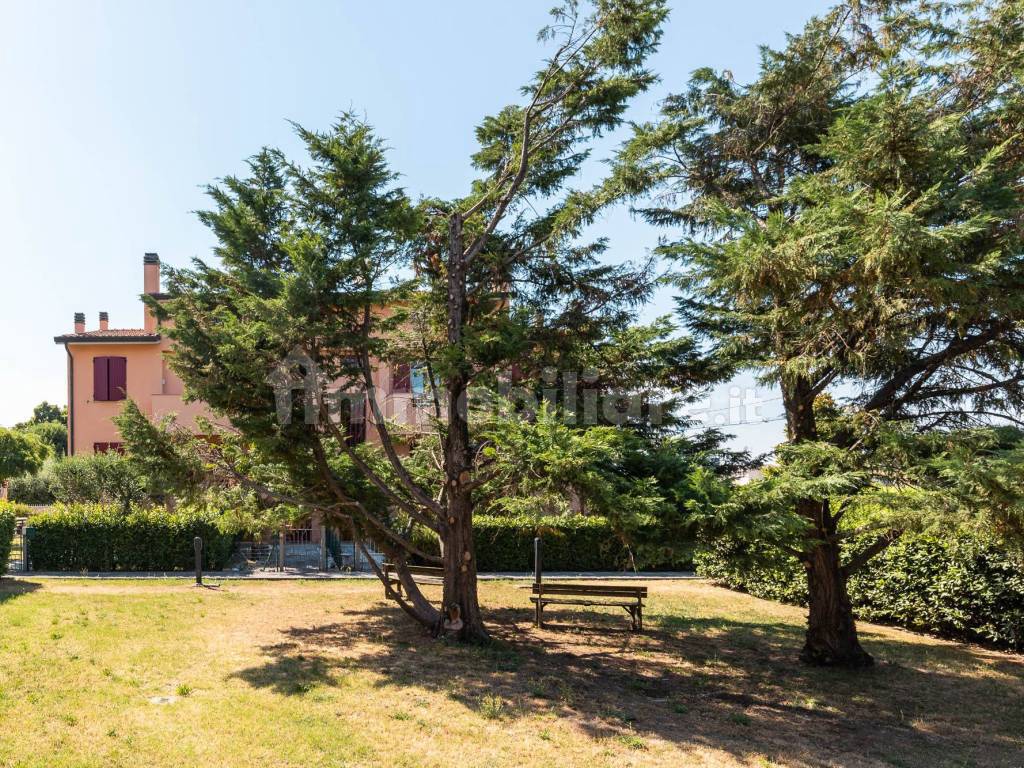 Giardino