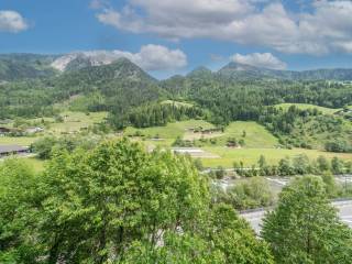 Vista
