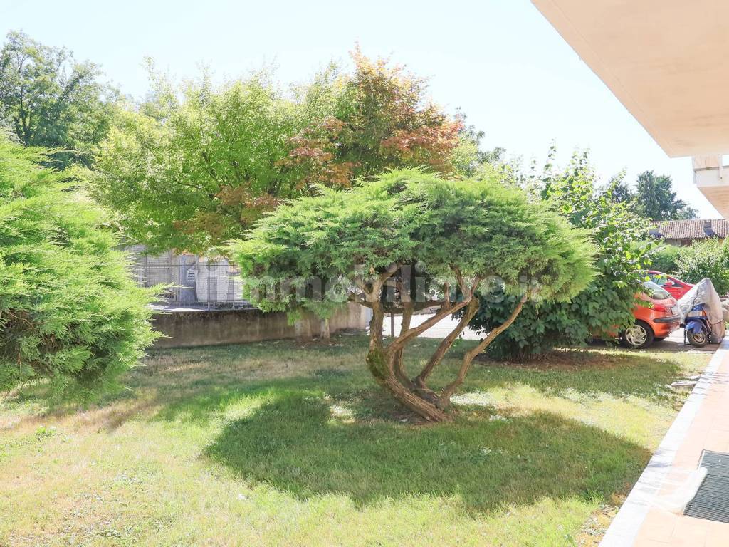 Giardino