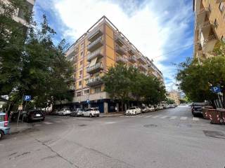 Zona