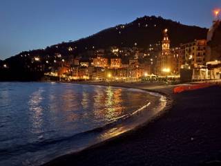 Zona