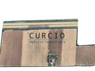 Altro