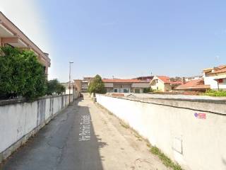 Zona