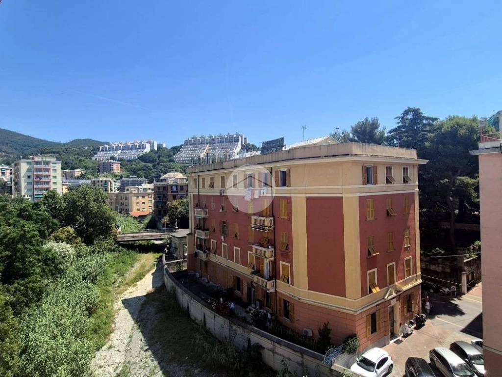 Vista