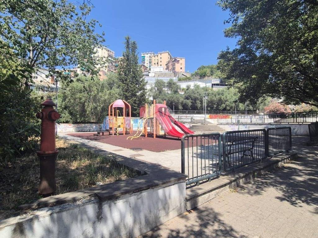 Giardino