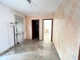 Ingresso