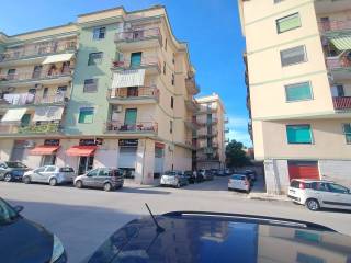 Zona