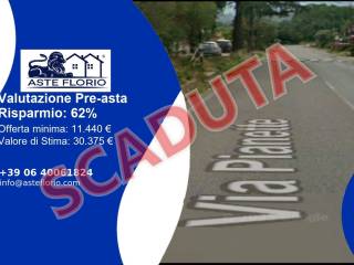 Zona