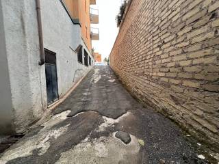 Zona