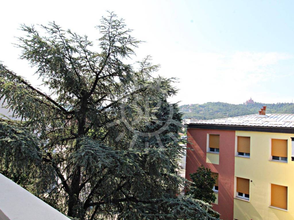 Vista