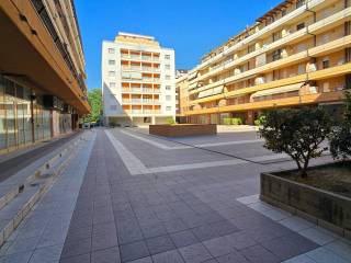 Zona