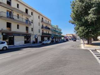 Zona