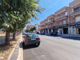 Zona