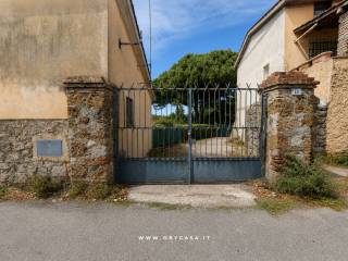 Ingresso