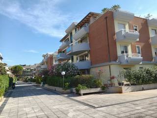 Zona