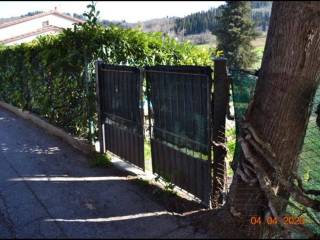 Zona