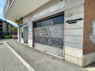 Zona
