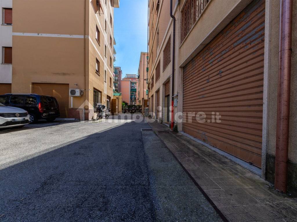 Zona