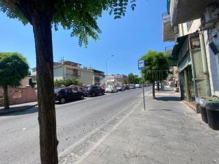 Zona