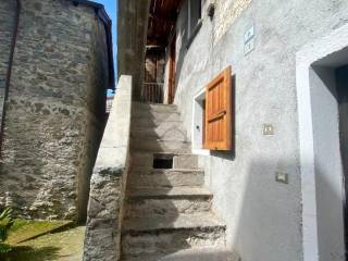 Zona