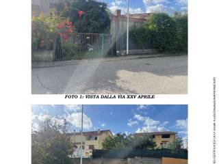 Zona
