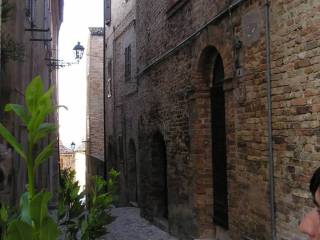 Zona