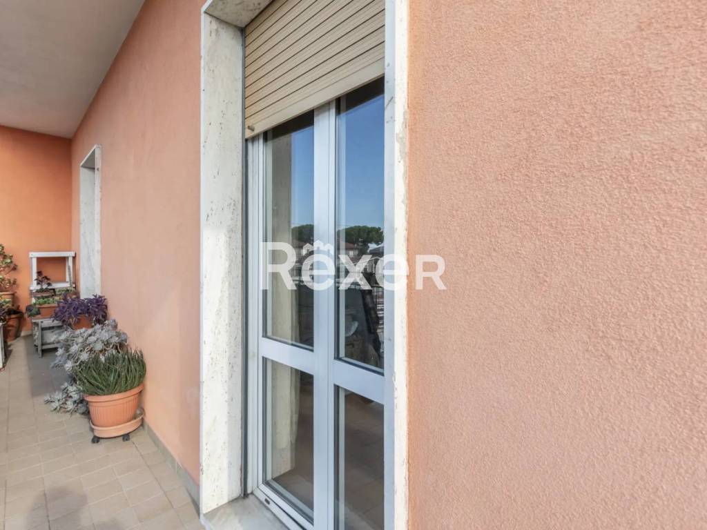 Terrazzo