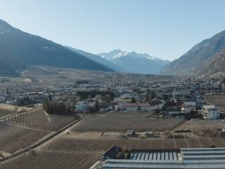 Vista