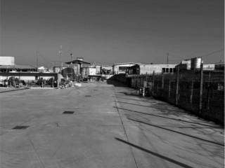 Zona