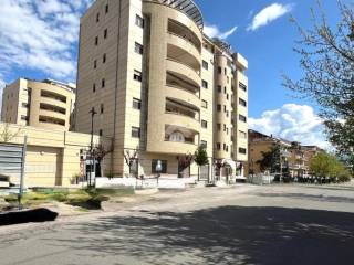 Zona