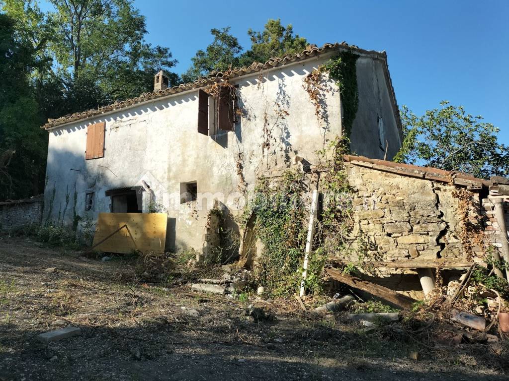 Terreno