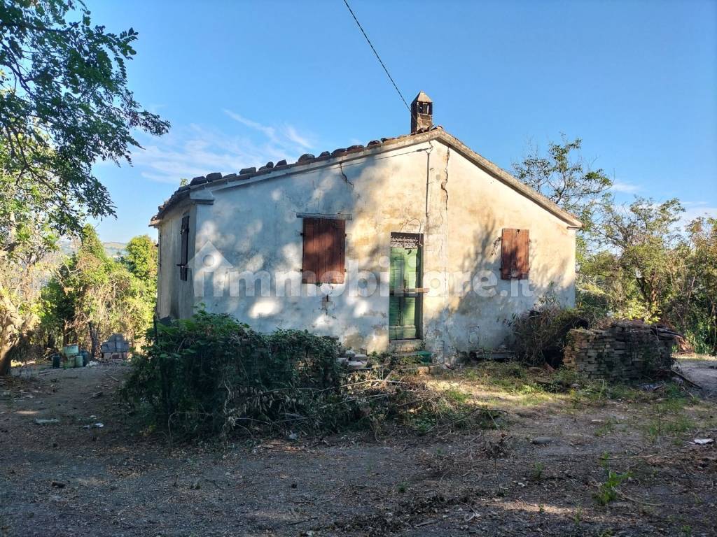 Terreno