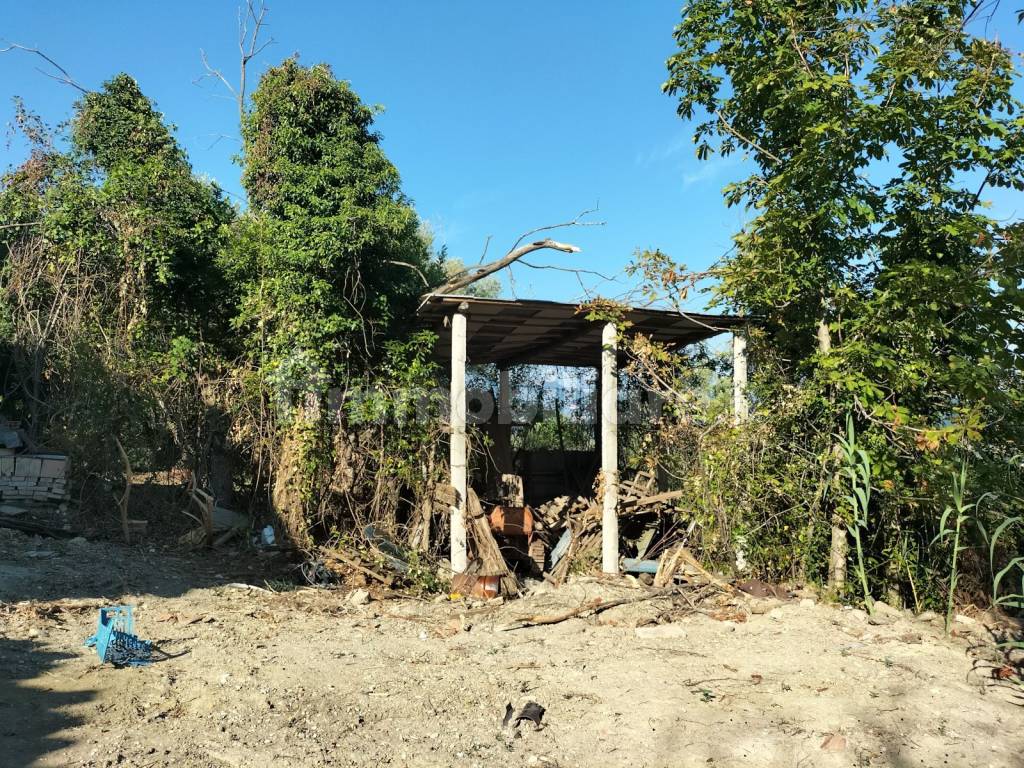 Terreno