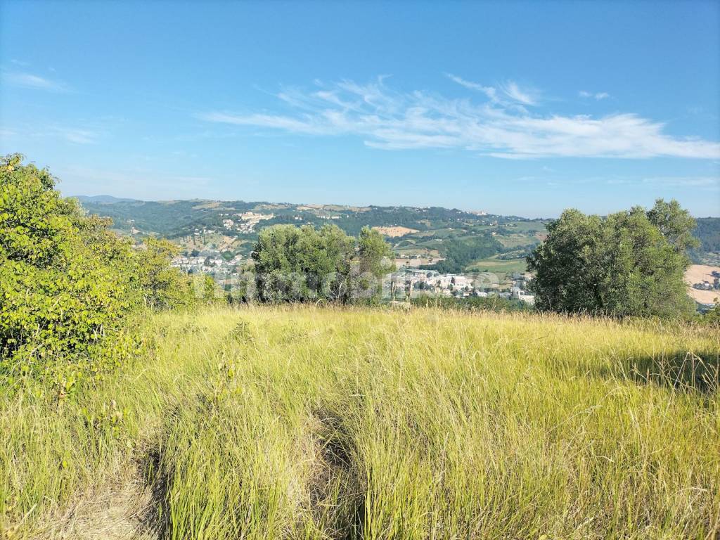 Terreno