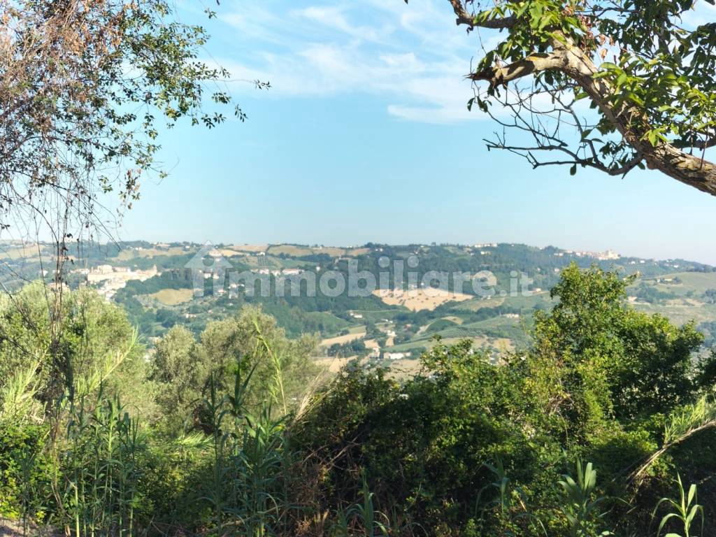 Vista