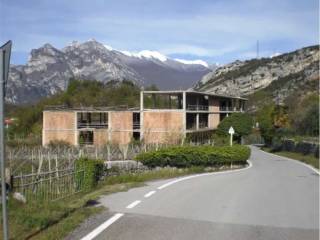 Zona