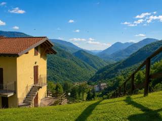 Vista