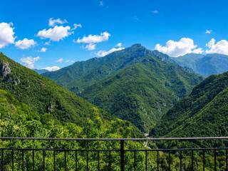 Vista