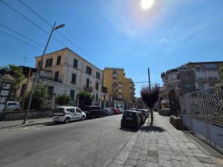 Zona