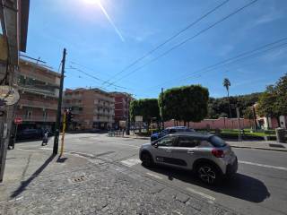 Zona