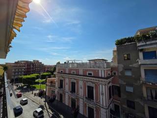 Vista