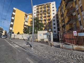Zona